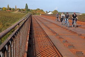 CYCLISTES ENTRE AMIS EN BALADE SUR LE VIADUCT DE MENETREOL-SOUS-SANCERRE AU MILIEU DES VIGNES DE SANCERRE EN AUTOMNE, ITINERAIRE DE LA LOIRE A VELO, CHER (18), FRANCE 