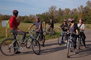 CYCLISTES ENTRE AMIS EN BALADE, MENETREOL-SOUS-SANCERRE, ITINERAIRE DE LA LOIRE A VELO, CHER (18), FRANCE 