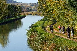 CYCLISTES ENTRE AMIS EN BALADE AU BORD DU CANAL LATERAL A LA LOIRE, MENETREOL-SOUS-SANCERRE, ITINERAIRE DE LA LOIRE A VELO, CHER (18), FRANCE 