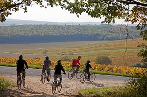 BALADE ENTRE AMIS DANS LES VIGNES AUX COULEURS D'AUTOMNE, ITINERAIRE DE LA LOIRE A VELO, SANCERRE, CHER (18), FRANCE 