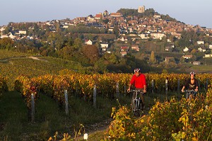 BALADE A VELO DANS LES VIGNES DEVANT LE VILLAGE DE SANCERRE, ITINERAIRE DE LA LOIRE A VELO, CHER (18), FRANCE 