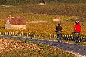 COUPLE DE CYCLISTES EN BALADE DANS LES VIGNES ET CABANES DE VIGNERON SUR LA ROUTE DES VIGNOBLES, ITINERAIRE DE LA LOIRE A VELO, SANCERRE, CHER (18), FRANCE 