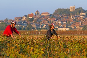 BALADE A VELO DANS LES VIGNES DEVANT LE VILLAGE DE SANCERRE, ITINERAIRE DE LA LOIRE A VELO, CHER (18), FRANCE 