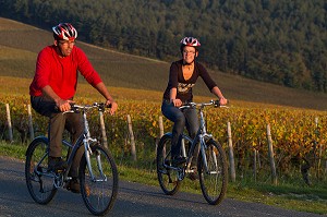 COUPLE EN BALADE A VELO DANS LES VIGNES AUX COULEURS D'AUTOMNE, ITINERAIRE DE LA LOIRE A VELO, CHER (18), FRANCE 