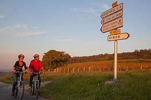 COUPLE DE CYCLISTES EN BALADE DANS LES VIGNES DE SANCERRE SUR LA ROUTE DES VIGNOBLE DU COEUR DE LA FRANCE, ITINERAIRE DE LA LOIRE A VELO, CHER (18), FRANCE 