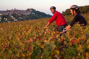 BALADE A VELO DANS LES VIGNES DEVANT LE VILLAGE DE SANCERRE, ITINERAIRE DE LA LOIRE A VELO, CHER (18), FRANCE 