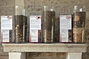 VASE CONTENANT DES ECHANTILLONS DES SOLS, CAROTAGE DE TERRE REALISE SUR DIFFERENTES PARCELLES POUR ILLUSTRER LES CLIMATS DE BOURGOGNE, DOMAINE DU CHATEAU DE POMMARD, ROUTE DES GRANDS CRUS DE BOURGOGNE, POMMARD, COTE D’OR (21), FRANCE 