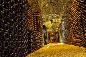 CAVE A VIN DU CHATEAU DE POMMARD, ROUTE DES GRANDS CRUS DE BOURGOGNE, POMMARD, COTE D’OR (21), FRANCE 