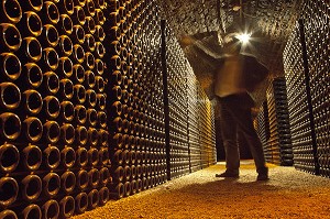 CAVE A VIN DU CHATEAU DE POMMARD, ROUTE DES GRANDS CRUS DE BOURGOGNE, POMMARD, COTE D’OR (21), FRANCE 