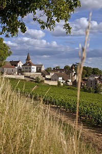 ROUTE D23 DEVANT LE VILLAGE ET LES VIGNES DE MONTHELIE, ROUTE DES GRANDS CRUS DE BOURGOGNE, MONTHELIE, COTE D’OR (21), FRANCE 