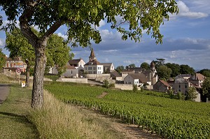 ROUTE DEPARTEMENTALE D23 DEVANT LE VILLAGE ET LES VIGNES DE MONTHELIE, ROUTE DES GRANDS CRUS DE BOURGOGNE, MONTHELIE, COTE D’OR (21), FRANCE 