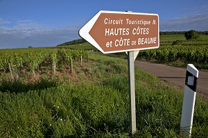 PANNEAU DU CIRCUIT TOURISTIQUE DES HAUTES COTES ET COTE DE BEAUNE AU MILIEU DES VIGNES, ROUTE DES GRANDS CRUS DE BOURGOGNE,  ALOXE-CORTON, COTE D’OR (21), FRANCE 