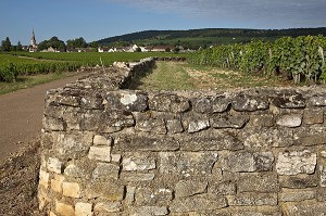 MRET EN PIERRES DEVANT LES VIGNES ET PARCELLES DE VOLNAY, ROUTE DES GRANDS CRUS DES VINS DE BOURGOGNE, COTE D'OR (21), FRANCE