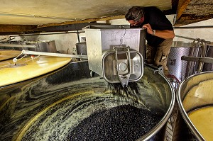 REMPLISSAGE DES CUVES DE STOCKAGE, RECEPTION DE LA VENDANGE AU CHAI, VINIFICATION, CEPAGE PINOT NOIR, DOMAINE PRIVE DU CHATEAU DE POMMARD, COTE-D’OR (21), BOURGOGNE, FRANCE 