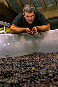 EMMANUEL SALA, MAITRE DE CHAI, DOMAINE VINICOLE DU CHATEAU DE POMMARD, COTE D'OR (21), BOURGOGNE, FRANCE 