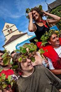 BAN BOURGUIGNON DANS LES VIGNES, FETE TRADITIONNELLE DU DERNIER JOUR DE VENDANGES MANUELLES, BOURGOGNE BLANC, DOMAINE VITICOLE HUBER-VERDEREAU, VOLNAY, COTE-D’OR (21), BOURGOGNE, FRANCE 