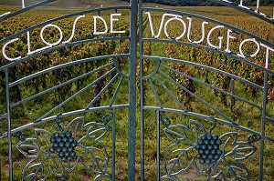PORTAIL, DOMAINE VITICOLE DU CLOS DE VOUGEOT, CEPAGE PINOT NOIR, COTE D’OR (21), BOURGOGNE, FRANCE 
