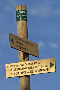 OENOTOURISME. BALISAGE DU CHEMIN DE RANDONNEE DES GRANDS CRUS, SANTENAY, COTE D’OR (21), BOURGOGNE, FRANCE 