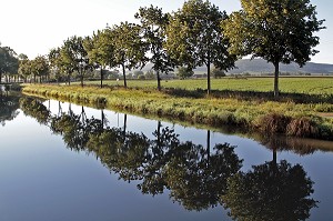 CHEMIN DE HALAGE BORDE D'ARBRES, CANAL DE BOURGOGNE, VANDENESSE-EN-AUXOIS, COTE D’OR (21), BOURGOGNE, FRANCE 