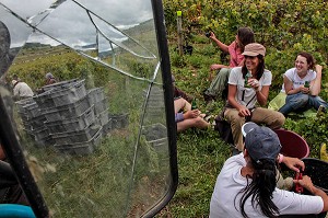 PAUSE DES VENDANGEURS, VENDANGES MANUELLES DE LA VIGNE, CEPAGE PINOT NOIR, DOMAINE PRIVE DU CHATEAU DE POMMARD, COTE-D’OR (21), BOURGOGNE, FRANCE 