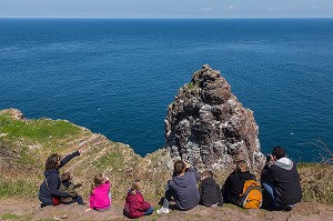 SITE D'EXCEPTION, LE CAP FREHEL ET SES FALAISES DE GRES ROSE ET DE SCHISTE, DOMINE LA MER A PLUS DE 70M DE HAUTEUR, PLEVENON, (22) COTES-D’ARMOR, BRETAGNE, FRANCE 