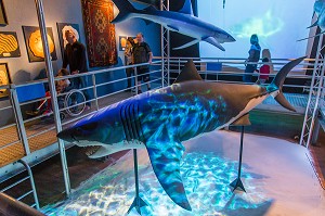 VUE INTERIEURE DU GRAND AQUARIUM DE SAINT MALO, MAQUETTES DE REQUINS, (35), ILLE-ET-VILAINE, BRETAGNE, FRANCE 