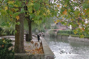 BORDS DE LA CHARENTONNE, BROGLIE, EURE (27), NORMANDIE, FRANCE 