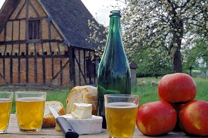 POMMES ET VERRE DE CIDRE, DEGUSTATION DE CIDRE BOUCHE A LA FERME, NORMANDIE, EURE (27), FRANCE 