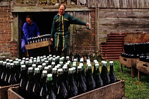 PRODUCTEUR DE CIDRE, LA MISE EN BOUTEILLE, EURE (27), NORMANDIE, FRANCE 