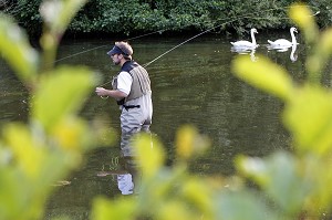 PECHEUR EN ACTION SUR LA RIVIERE L'ITON (GUILLAUME LE GARREC), PARCOURS DE PECHE A LA MOUCHE DU PONT DE LA PHRYGANE, AULNAY-SUR-ITON, EURE (27), NORMANDIE, FRANCE 