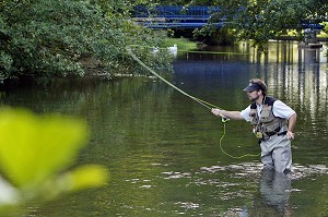 PECHEUR EN ACTION SUR LA RIVIERE L'ITON (GUILLAUME LE GARREC), PARCOURS DE PECHE A LA MOUCHE DU PONT DE LA PHRYGANE, AULNAY-SUR-ITON, EURE (27), NORMANDIE, FRANCE 