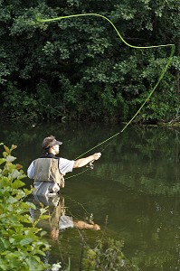 PECHEUR EN ACTION SUR LA RIVIERE L'ITON (GUILLAUME LE GARREC), PARCOURS DE PECHE A LA MOUCHE DU PONT DE LA PHRYGANE, AULNAY-SUR-ITON, EURE (27), NORMANDIE, FRANCE 