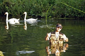 PECHEUR EN ACTION SUR LA RIVIERE L'ITON (GUILLAUME LE GARREC), PARCOURS DE PECHE A LA MOUCHE DU PONT DE LA PHRYGANE, AULNAY-SUR-ITON, EURE (27), NORMANDIE, FRANCE 