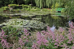 ETANG DES NYMPHEAS, JARDIN D'EAU DU PEINTRE IMPRESSIONNISTE CLAUDE MONET, GIVERNY, EURE (27), FRANCE 