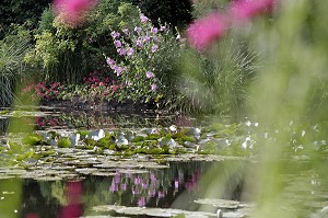 ETANG DES NYMPHEAS, JARDIN D'EAU DU PEINTRE IMPRESSIONNISTE CLAUDE MONET, GIVERNY, EURE (27), FRANCE 