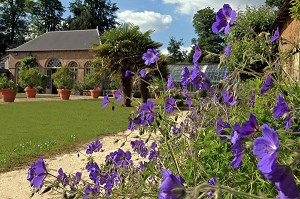 L'ORANGERIE, PARC ET JARDINS DU CHATEAU DE VANDRIMARE, EURE (27), FRANCE