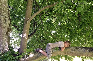 ENFANT COUCHE A CALIFOURCHON DANS UN TILLEUL, EURE (27), FRANCE 