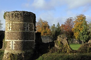 COULEURS D'AUTOMNE AU CHATEAU ET ARBORETUM DU DOMAINE D’HARCOURT, EURE (27), FRANCE 