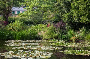 JARDIN D'EAU ET SES NYMPHEAS (NENUPHARS SUR L'ETANG), MAISON DU PEINTRE IMPRESSIONNISTE CLAUDE MONET, GIVERNY, EURE (27), NORMANDIE, FRANCE 