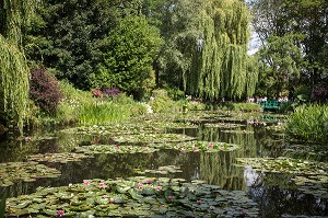 JARDIN D'EAU ET SES NYMPHEAS (NENUPHARS SUR L'ETANG), MAISON DU PEINTRE IMPRESSIONNISTE CLAUDE MONET, GIVERNY, EURE (27), NORMANDIE, FRANCE 