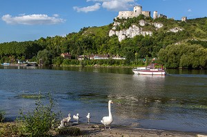 UNE OIE ET SES OISONS EN BORD DE SEINE DEVANT LA FORTERESSE MEDIEVALE DE CHATEAU GAILLARD EDIFIE PAR LE ROI D'ANGLETERRE RICHARD COEUR DE LION EN 1198, LES ANDELYS, EURE (27), NORMANDIE, FRANCE 