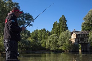 PECHEUR SUR LA SEINE DEVANT LE VIEUX MOULIN DU GARDON, PECHE AUX CARNASSIERS, LES ANDELYS, EURE (27), NORMANDIE, FRANCE 