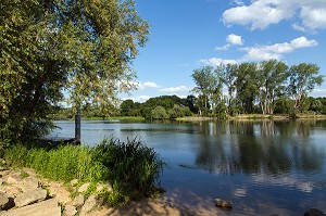BORDS DE SEINE, MUIDS, EURE (27), NORMANDIE, FRANCE 