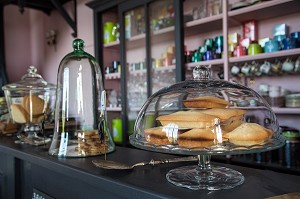 SALON DE THE 'FORT DE CAFE', LES ANDELYS, EURE (27), NORMANDIE, FRANCE 