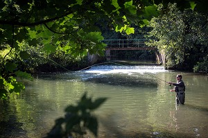 PECHE A LA MOUCHE SUR LE PARCOURS DE LA RIVIERE LA RISLE, VANNE DE LA FORGE, AMBENAY, (27) EURE, FRANCE 