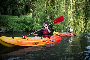 DESCENTE EN CANOE SOUS LES SAULES PLEUREURS SUR LA RIVIERE LA RISLE, BRIONNE (27) EURE, FRANCE 