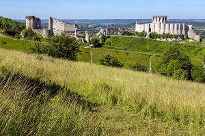 FORTERESSE MEDIEVALE DE CHATEAU GAILLARD EDIFIE PAR LE ROI D'ANGLETERRE RICHARD COEUR DE LION EN 1198, LES ANDELYS, EURE (27), NORMANDIE, FRANCE 