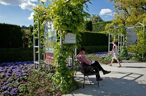 JARDIN DU MUSEE DES IMPRESSIONNISTES CREE PAR LE PAYSAGISTE MARK RUDKIN EN 1991, GIVERNY, EURE (27), FRANCE 