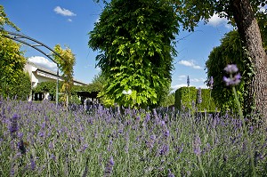 JARDIN DU MUSEE DES IMPRESSIONNISTES CREE PAR LE PAYSAGISTE MARK RUDKIN EN 1991, GIVERNY, EURE (27), FRANCE 