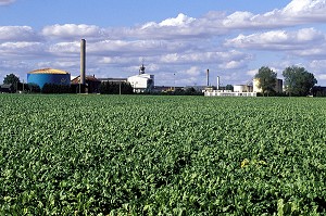 USINE DE SUCRE, TOURY, EURE-ET-LOIR (28), FRANCE 